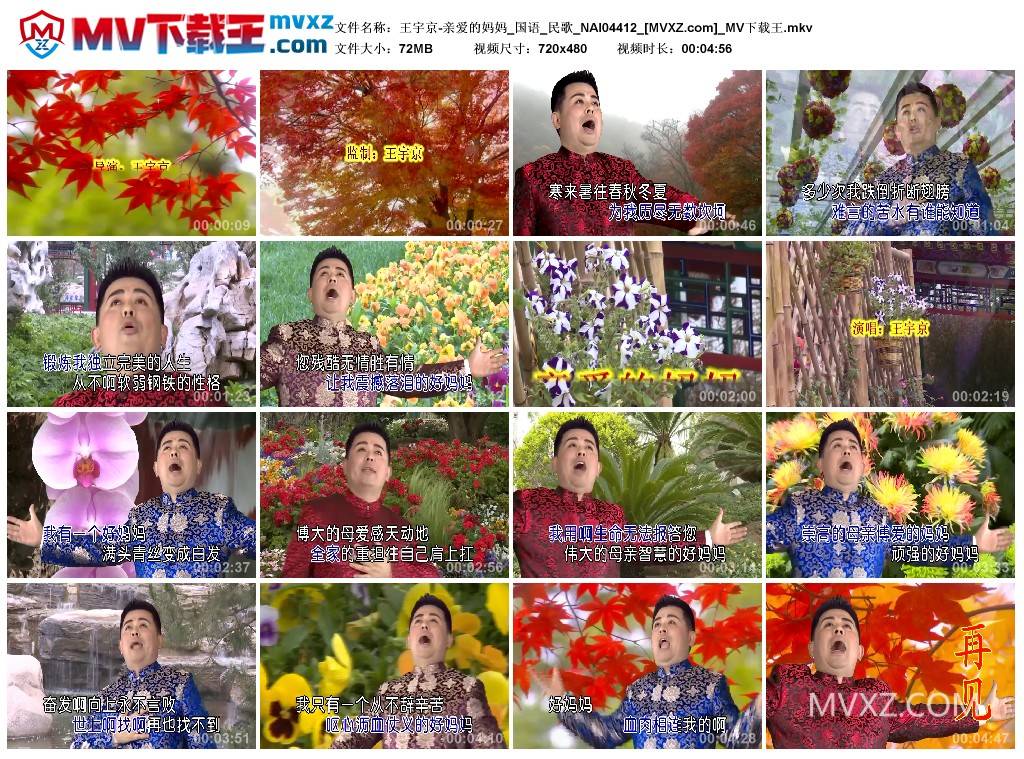 王宇京-亲爱的妈妈_国语_民歌_NAI04412